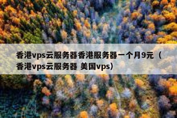 香港vps云服务器香港服务器一个月9元（香港vps云服务器 美国vps）