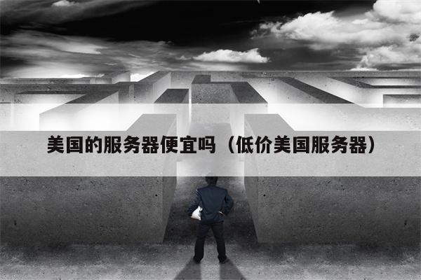 美国的服务器便宜吗（低价美国服务器）