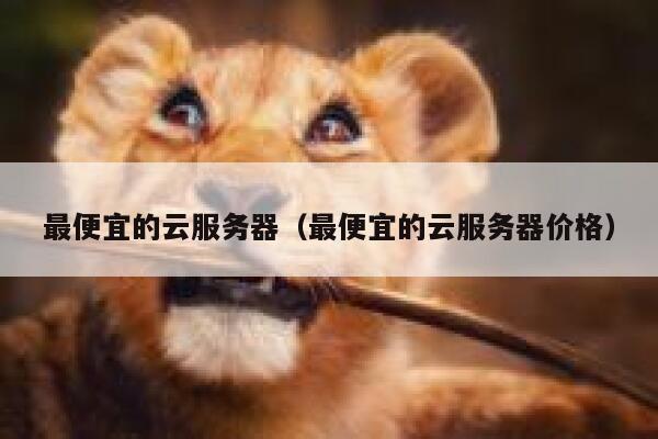 最便宜的云服务器（最便宜的云服务器价格）