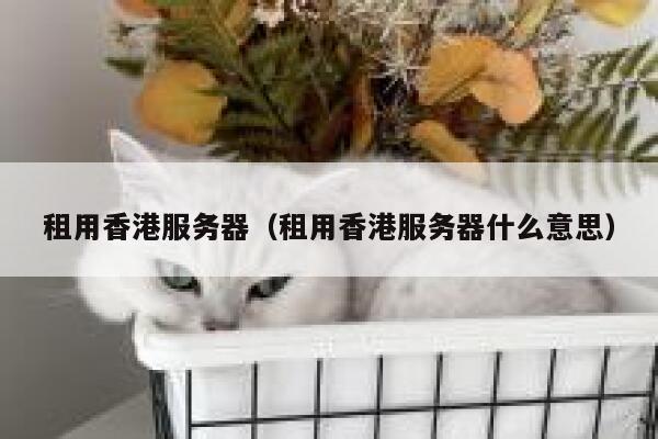 租用香港服务器（租用香港服务器什么意思）