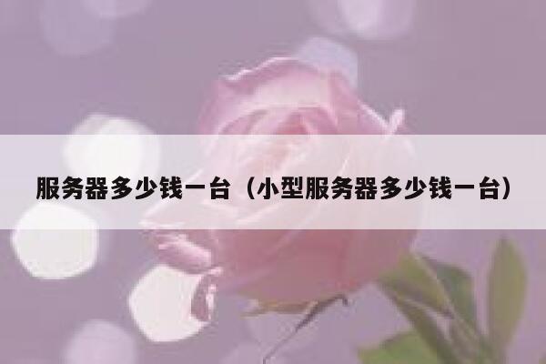 服务器多少钱一台（小型服务器多少钱一台）