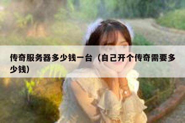 传奇服务器多少钱一台（自己开个传奇需要多少钱）