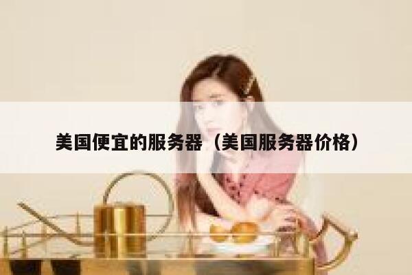 美国便宜的服务器（美国服务器价格）