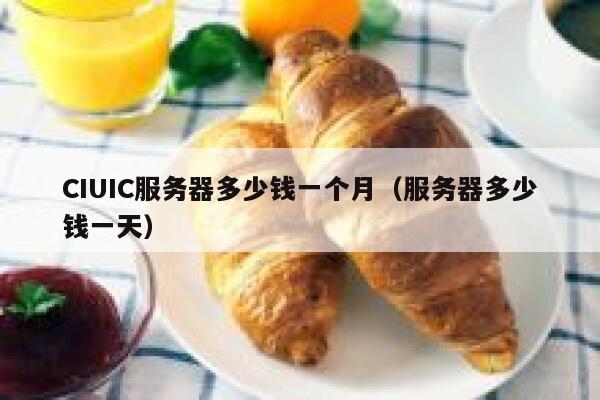 CIUIC服务器多少钱一个月（服务器多少钱一天）