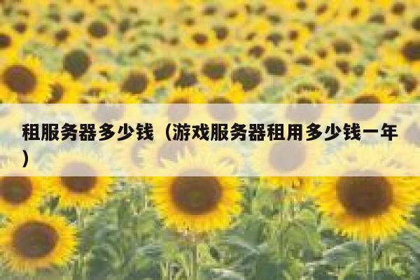 租服务器多少钱（游戏服务器租用多少钱一年）