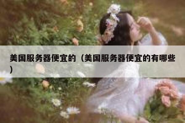 美国服务器便宜的（美国服务器便宜的有哪些）