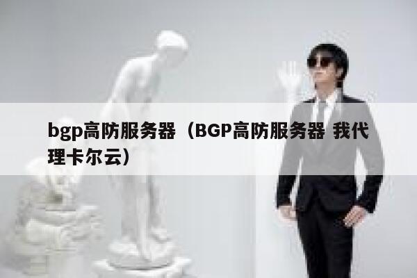 bgp高防服务器（BGP高防服务器 我代理卡尔云）
