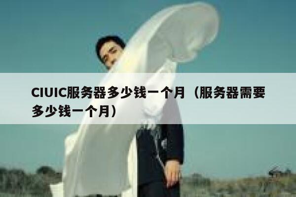 CIUIC服务器多少钱一个月（服务器需要多少钱一个月）