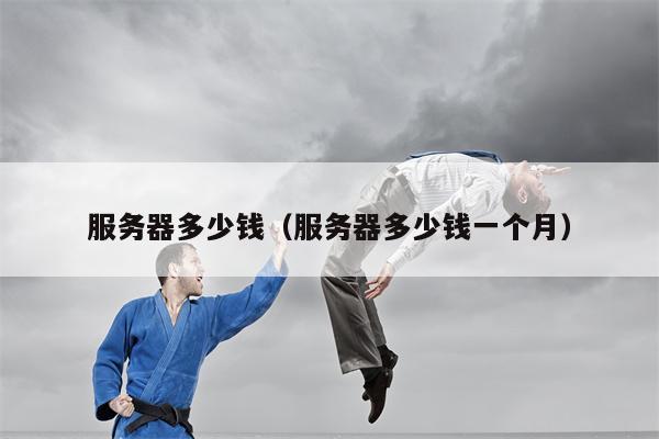 服务器多少钱（服务器多少钱一个月）