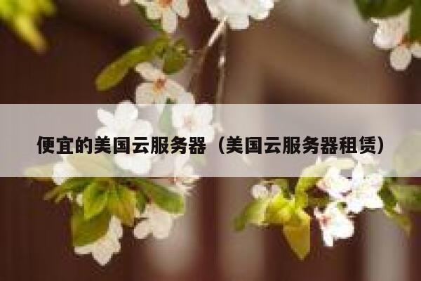 便宜的美国云服务器（美国云服务器租赁）