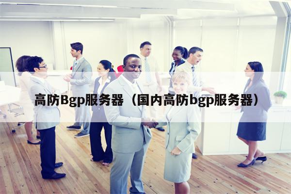 高防Bgp服务器（国内高防bgp服务器）