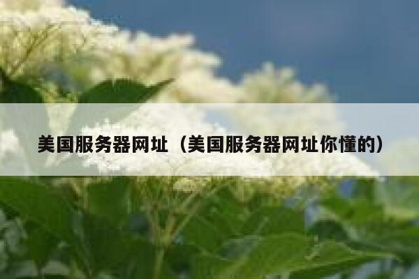 美国服务器网址（美国服务器网址你懂的）