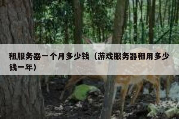 租服务器一个月多少钱（游戏服务器租用多少钱一年）