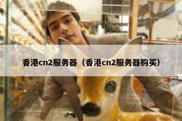 香港cn2服务器（香港cn2服务器购买）