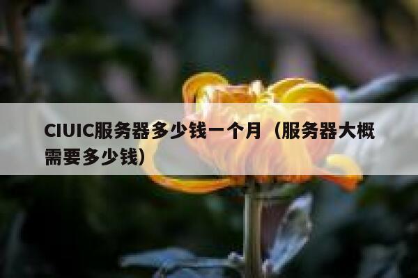 CIUIC服务器多少钱一个月（服务器大概需要多少钱）