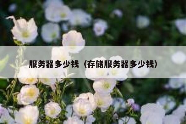 服务器多少钱（存储服务器多少钱）