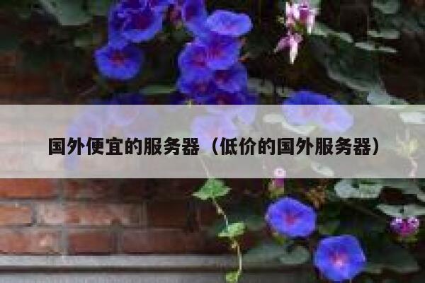 国外便宜的服务器（低价的国外服务器）