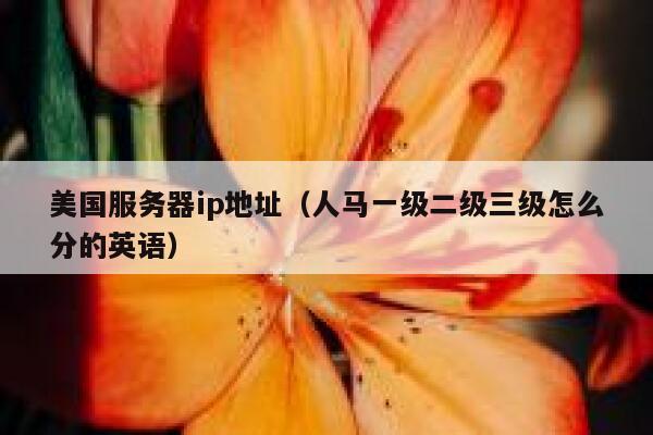美国服务器ip地址（人马一级二级三级怎么分的英语）