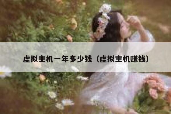 虚拟主机一年多少钱（虚拟主机赚钱）