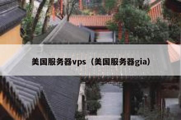 美国服务器vps（美国服务器gia）